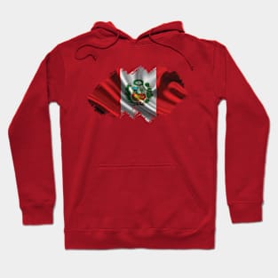 Flag of Peru Hoodie